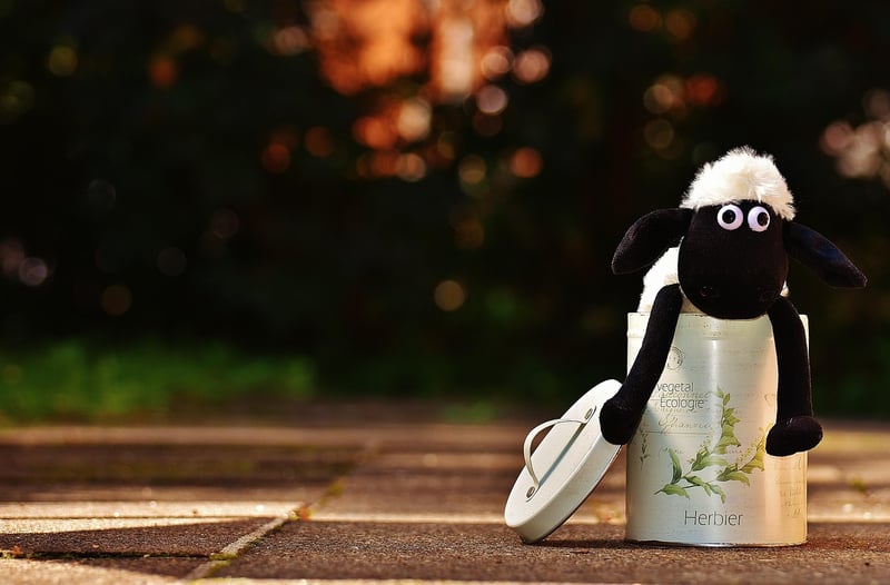 Creative Planters from Tin Cans